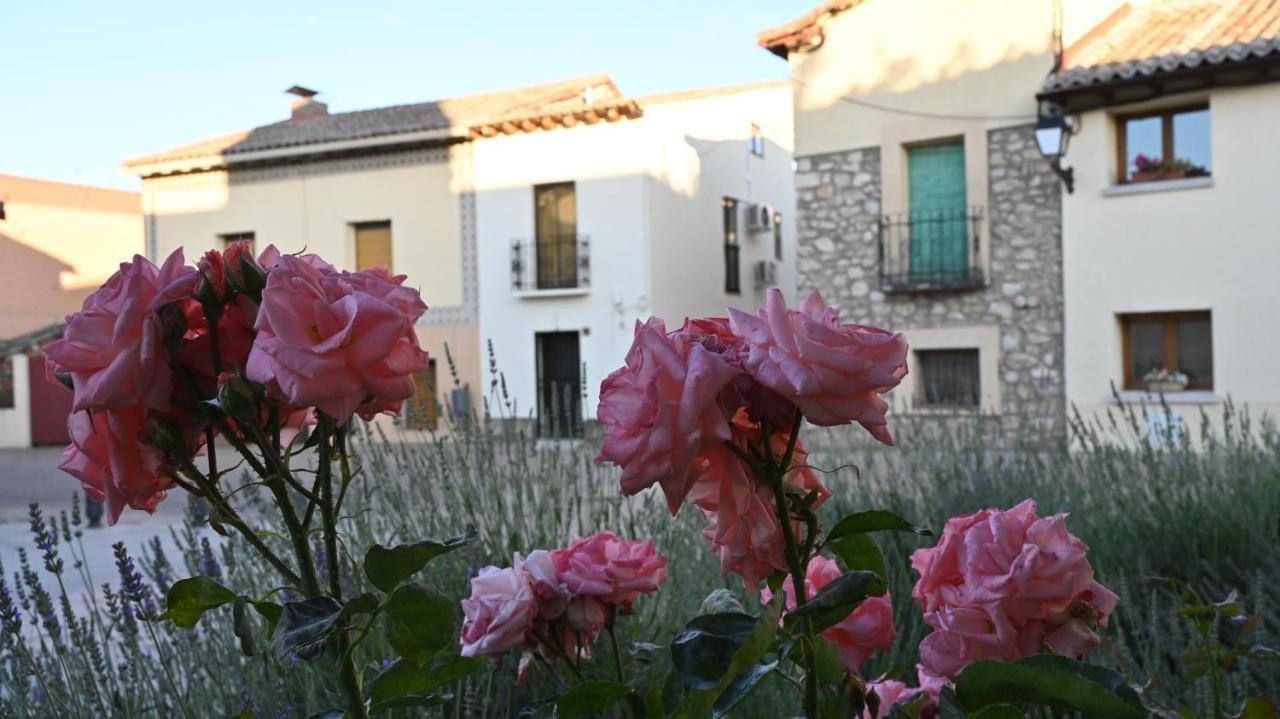Casa Rural Antigua Botica Torremocha de Jarama Eksteriør billede